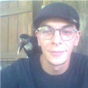 Profesor de español (e inglés), tanto en la parte de lectura y un fortalecimiento en la escritura